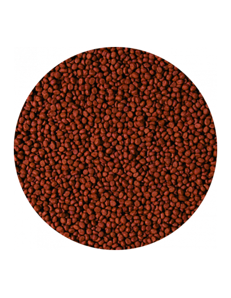 CICHLID CARNIVORE SMALL PELLET