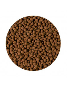 CICHLID CARNIVORE MEDIUM  PELLET 2
