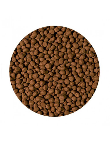 CICHLID CARNIVORE MEDIUM  PELLET