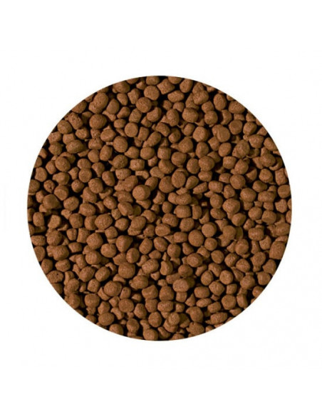 CICHLID CARNIVORE MEDIUM  PELLET