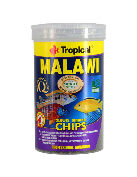 MALAWI CHIPS