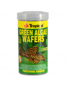 GREEN ALGAE WAFERS
