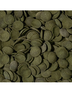 GREEN ALGAE WAFERS 2