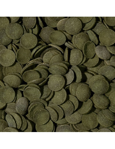 GREEN ALGAE WAFERS