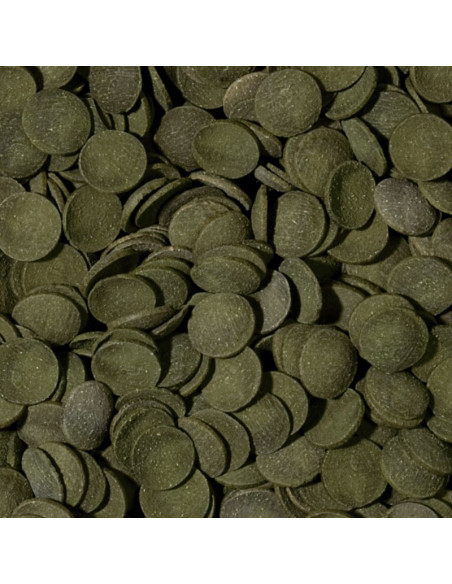 GREEN ALGAE WAFERS