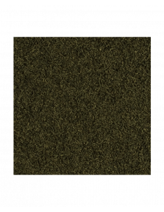 CARIDINA NANO STICKS 2