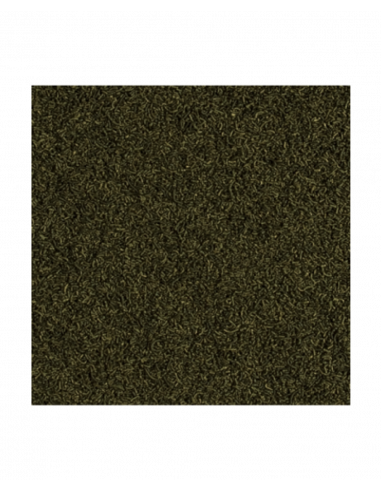 CARIDINA NANO STICKS