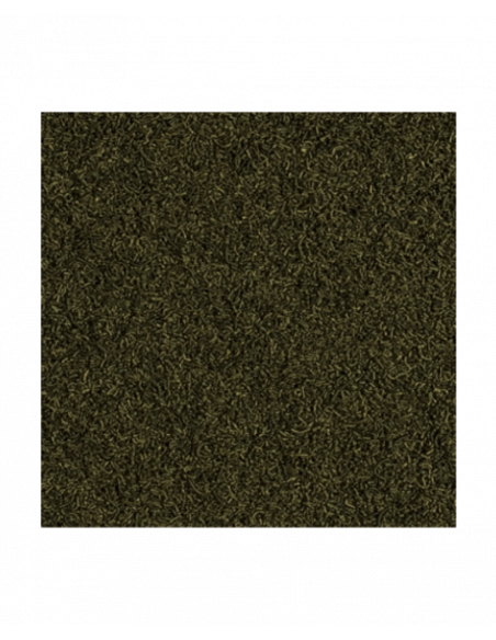 CARIDINA NANO STICKS