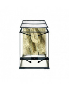 TERRÁRIO PEQUENO TALL 2