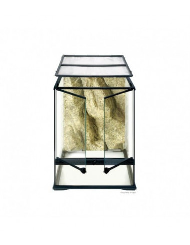 TERRÁRIO PEQUENO TALL