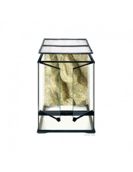 TERRÁRIO PEQUENO TALL