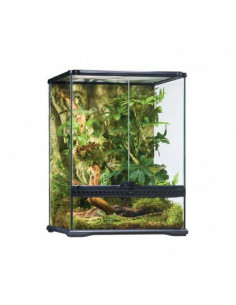 TERRÁRIO PEQUENO TALL