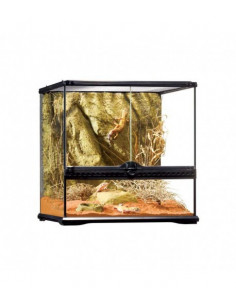 TERRÁRIO PEQUENO WIDE