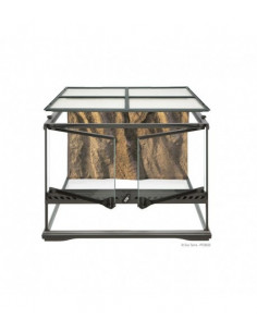 TERRÁRIO PEQUENO LOW 2