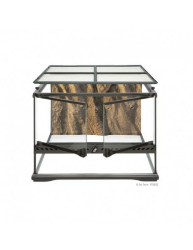 TERRÁRIO PEQUENO LOW