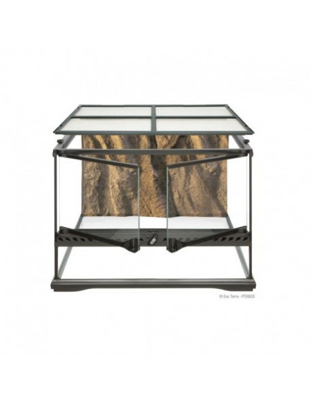 TERRÁRIO PEQUENO LOW