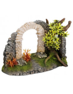 AQUA DELLA ROMAN ARC