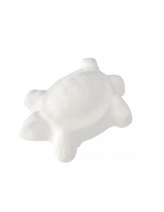 PEDRA DE CÁLCIO PARA TARTARUGAS AQUÁTICAS 25G