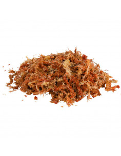 MUSGO "SPHAGNUM" - SUBSTRATO TROPICAL 4,5 LT 2