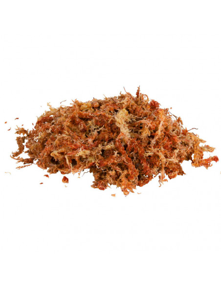 MUSGO "SPHAGNUM" - SUBSTRATO TROPICAL 4,5 LT