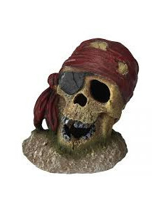 SKULL EYE - PATH S - 7 X 7 X 8 CM