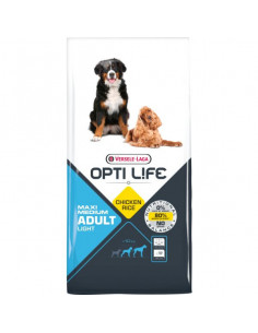 ADULT MAXI MEDIUM LIGHT