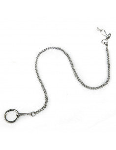 CORRENTES COM ANILHAS PARA AVES CROMADAS - 50 CM