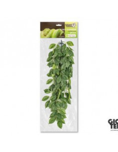 PLANTA DE SUSPENSÃO 3- FICUS