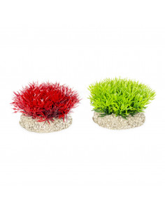 Planta Artificial Aqua Della - Crystalwort Moss - S