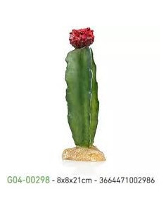 Cato 5 - 8 x 8 x 21cm