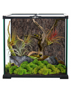 TERRÁRIO EM VIDRO 30X30X30