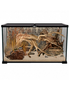 TERRÁRIO EM VIDRO 50X30X25