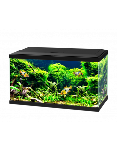 AQUA 60 C/FILTRO BIOLÓGICO & ILUMINAÇÃO LED PRETO