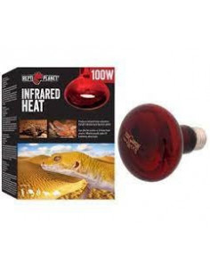 INFRARED HEAT 100 W