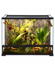 TERRÁRIO EM VIDRO 60X45X45