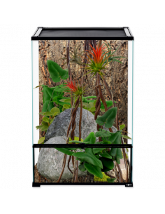 TERRÁRIO EM VIDRO 30X30X45