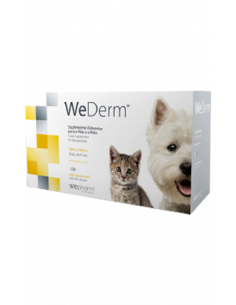WeDerm | Oral 30ml