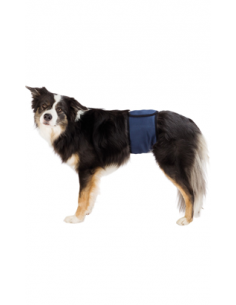 Trixie Banda para Cães Machos Incontinentes | XL