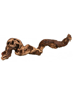 TRONCO DECORATIVO TRATADO