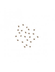 MICRO-GRILOS, 2 - 3 mm