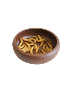 COMEDOURO 'MEALWORM DISH' KOMODO 2