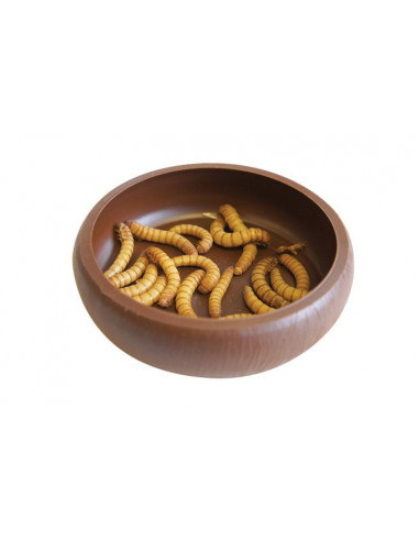 COMEDOURO 'MEALWORM DISH' KOMODO
