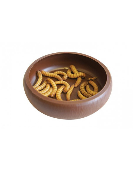 COMEDOURO 'MEALWORM DISH' KOMODO