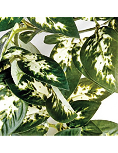 DECORAÇÃO BORNEO - 23 CM