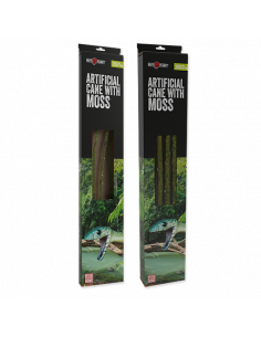 REPTIPLANET LIANA SELVA - 200X1 CM