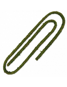 REPTIPLANET LIANA SELVA - 200X1 CM 2