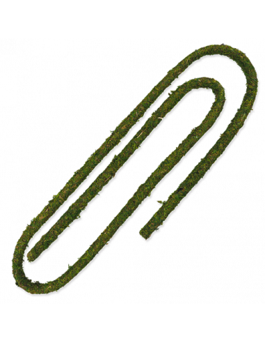 REPTIPLANET LIANA SELVA - 200X1 CM