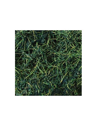 KOMODO NATURAL TROPICAL VINE - M