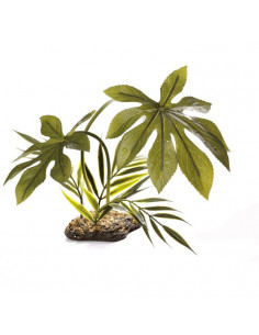 PLANTA JUNGLE CANOPY