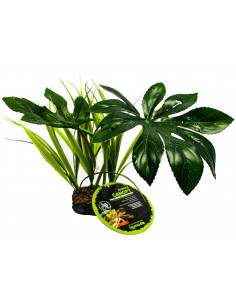 PLANTA JUNGLE CANOPY 2